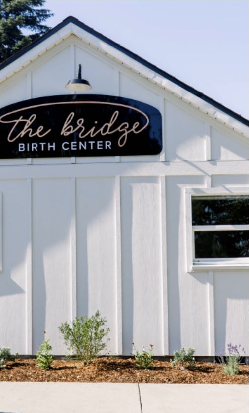 The Bridge Birth & Family Services